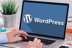 Cara Membuat Postingan Artikel Di WordPress Terlengkap