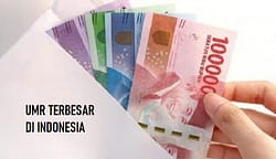 Berapa UMR Terbesar Di Indonesia, Berikut 5 Daftar Kota Yang Masuk