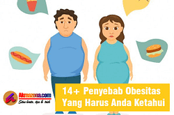 14+ Penyebab Obesitas Yang Harus Anda Ketahui