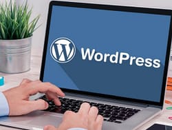 Cara Membuat Postingan Artikel Di WordPress Terlengkap