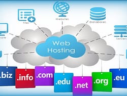 Perbedaan Antara Hosting dan Domain Secara Lengkap Beserta Fungsinya