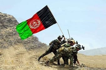 India Kirim 50 Ribu Ton Gandum ke Afghanistan