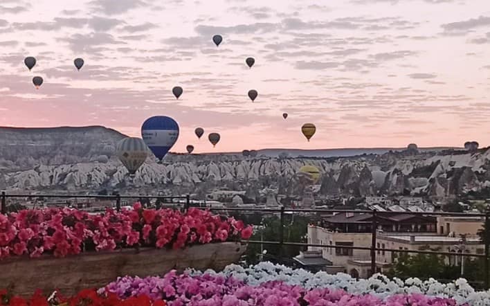 Cappadocia Flowers